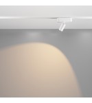 Maytoni Focus LED Lampa do Szyny Magnetycznej RADITY LED 5W 400lm 3000K Biały TR103-1-5W3K-M-W Maytoni Focus LED Lampa do Szyny Magnetycznej RADITY LED 5W 400lm 3000K Biały TR103-1-5W3K-M-W