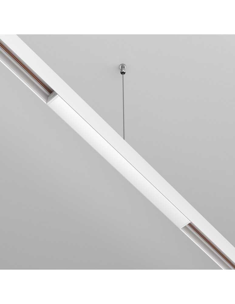 Akcesoria do szynoprzewodów magnetycznych - Maytoni Zasilacz Systemu EXILITY 48V 200W IP54 Biały TRX034DR4-200W-1 - product kolory-swiatla.pl 2