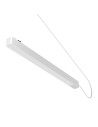 Maytoni Zasilacz Systemu RADITY 48V 200W 200W Biały TRA084DR-200W-1