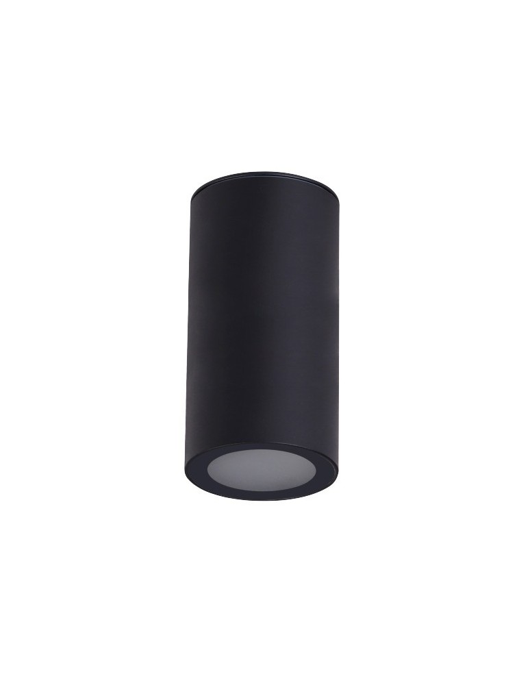Azzardo ROTOR IP65 BK Czarny Mat/Mrożone Szkło 1xE27 Zewnętrzna Sufitowa AZ6075