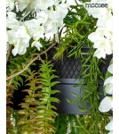 MOOSEE lampa wisząca GARDENS WISTERIA 90 (MSE1501100437.WIST) MOOSEE lampa wisząca GARDENS WISTERIA 90 (MSE1501100437.WIST)