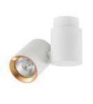 Light Prestige Boston 1 biały ze złotym ringiem GU10 biały LP-741/1W WH/GD Light Prestige Boston 1 biały ze złotym ringiem GU10 biały LP-741/1W WH/GD