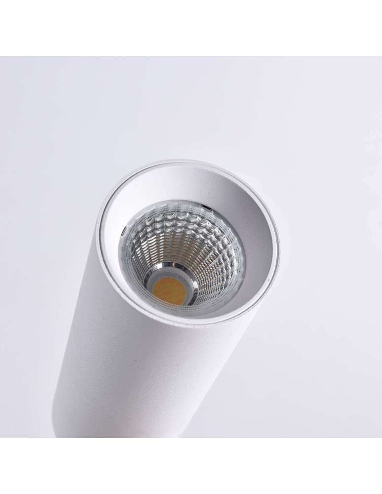 Light Prestige Magnum reflektor do szynoprzewodu 3F LED 1x20W biały LP-8120/3F WH Light Prestige Magnum reflektor do szynoprzewodu 3F LED 1x20W biały LP-8120/3F WH