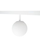 Maxlight Lampa Magnetyczna Biała System On/Off 6W 525lm 3000K M0044N Maxlight Lampa Magnetyczna Biała System On/Off 6W 525lm 3000K M0044N