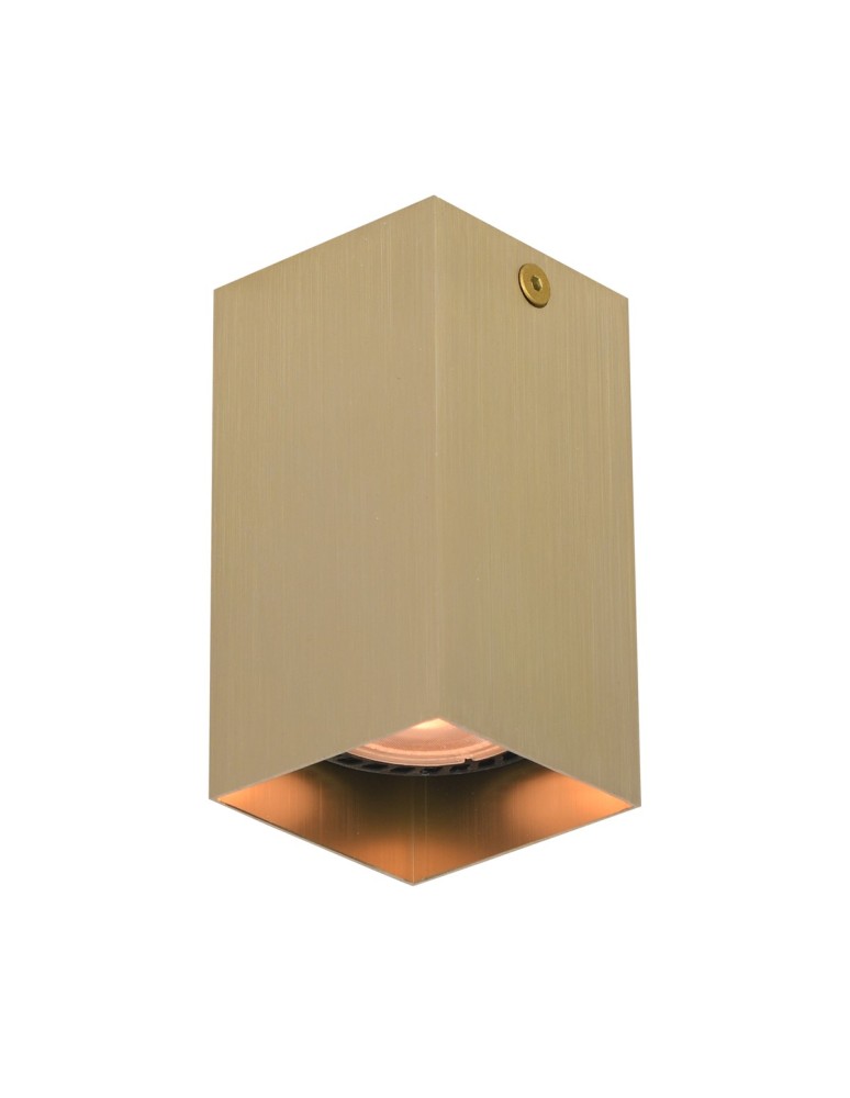 Italux Ander Natynkowa 1xGU10 10W Czarny, mosiężny CLN-28394-S-GD