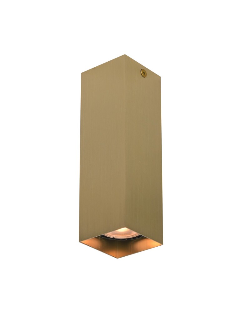Italux Ander Natynkowa 1xGU10 10W Czarny, mosiężny CLN-28394-M-GD