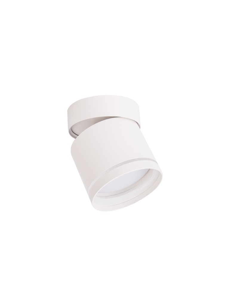 Lampy sufitowe regulowane - spoty - Light Prestige Kendal Oprawa natynkowa 1 x GX53 biała LP-6331/1SM R1 WH movable - product kolory-swiatla.pl 3