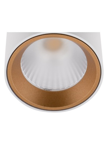 Maxlight Gold Pierścień Ozdobny Złoty Do Tub RC0155/C0156 GOLD