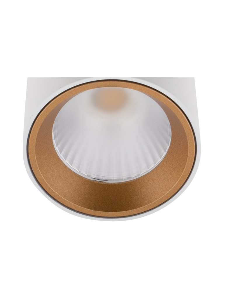 Pierścienie - Maxlight Gold Pierścień Ozdobny Złoty Do Tub RC0155/C0156 GOLD - produkt kolory-swiatla.pl 1