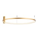Lampy sufitowe ringi - Shilo Plafon Agari 117 - Złoty (1170 mm) 4000K 1355 - product 1