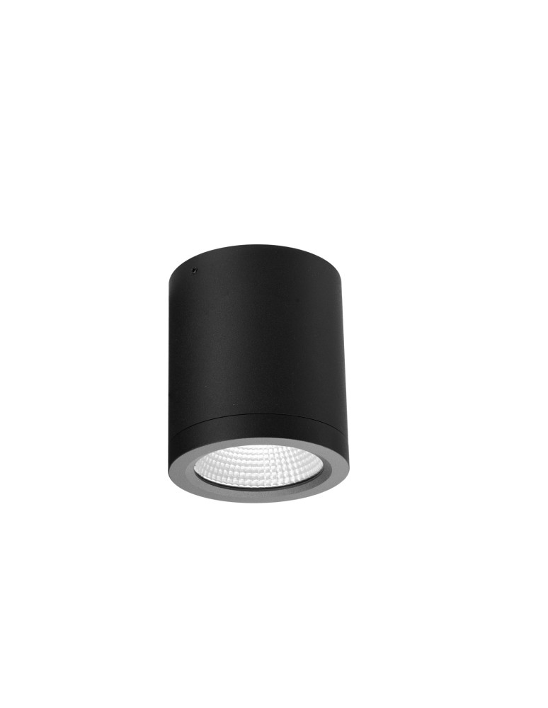 Azzardo CONYON IP54 15W CCT SWITCH BK Czarny Mat/Transparentny 1xLED Lampa Natynkowa Przełącznik Zmiany Barwy Światła AZ6027