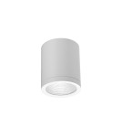 Lampy zewnętrzne sufitowe - Azzardo CONYON IP54 15W CCT SWITCH WH Biały/Transparentny 1xLED Lampa Natynkowa Przełącznik Zmiany Barwy Światła AZ6028 - product 1