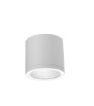 Lampy zewnętrzne sufitowe - Azzardo CONYON IP54 25W CCT SWITCH WH Biały/Transparentny 1xLED Lampa Natynkowa Przełącznik Zmiany Barwy Światła AZ6030 - product 1