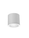 Azzardo CONYON IP54 25W CCT SWITCH WH Biały/Transparentny 1xLED Lampa Natynkowa Przełącznik Zmiany Barwy Światła AZ6030