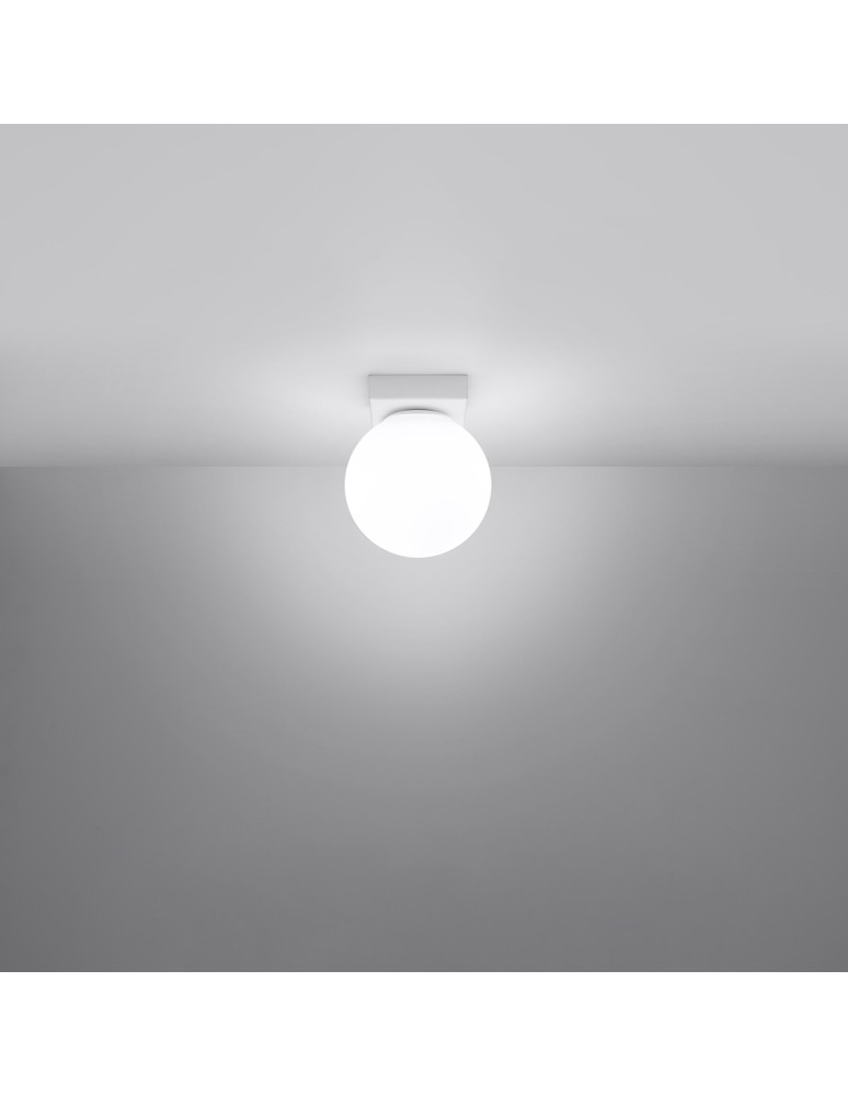 Sollux Plafon YOLI 1 biały SL.1146 Sollux Plafon YOLI 1 biały SL.1146