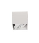 Oprawy sufitowe na wymienne źródło światła - Orlicki Design CARDI I BIANCO - product 1