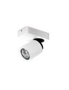 Azzardo TOMI 1 WHITE 1xGU10 Reflektor Sufitowy Biały/Szary AZ0662
