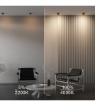 Maytoni Onda Lampa wbudowana podtynkowa LED 620lm 2200K-4000K Czarny i matowe złoto DL024-12W-DTW-BMG Maytoni Onda Lampa wbudowana podtynkowa LED 620lm 2200K-4000K Czarny i matowe złoto DL024-12W-DTW-BMG