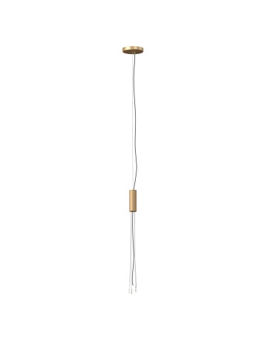 Maytoni Zon Uniwersalny element mocujący zawieszenie LED Matowe Złoty C032C-04-MG-1