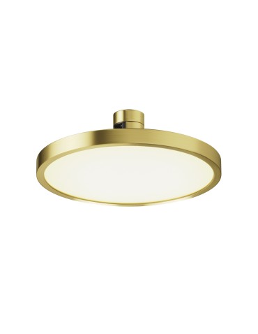 Maytoni Plato Lampa Talerz do Szyny Flarity LED 400lm 2700K Mosiądz TR153-1-10W2.7K-BS-DE