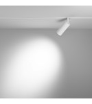 Maytoni Focus LED Reflektor do Szyny Exility LED 950lm 2700K-6000K Biały TR032-4-12WTW-S-DD2-W Maytoni Focus LED Reflektor do Szyny Exility LED 950lm 2700K-6000K Biały TR032-4-12WTW-S-DD2-W