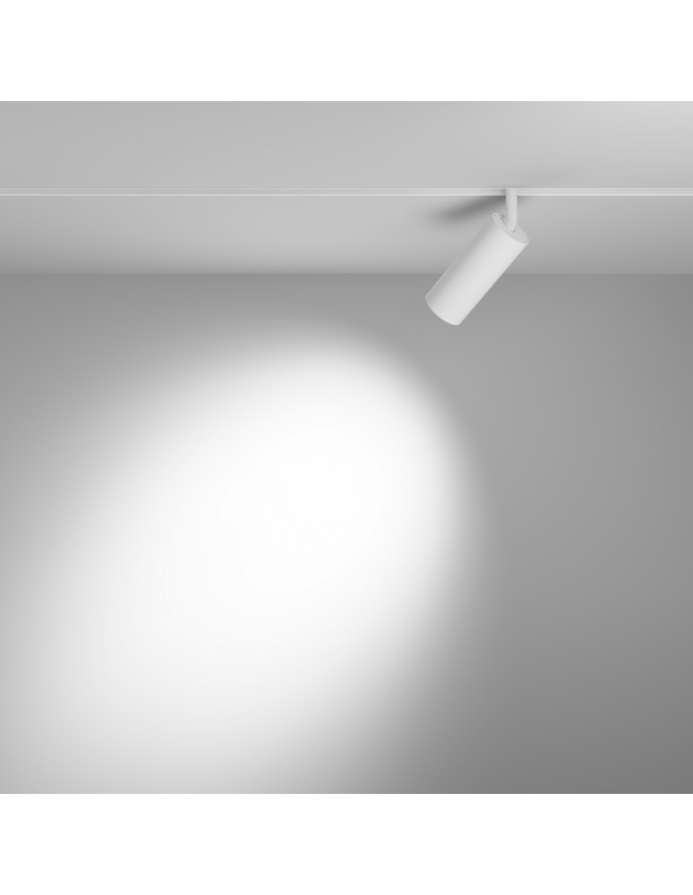 Maytoni Focus LED Reflektor do Szyny Exility LED 950lm 2700K-6000K Biały TR032-4-12WTW-S-DD2-W Maytoni Focus LED Reflektor do Szyny Exility LED 950lm 2700K-6000K Biały TR032-4-12WTW-S-DD2-W
