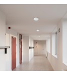 Plafony LED - Milagro Plafon Fury 1xE27 EKP1301 - product 5