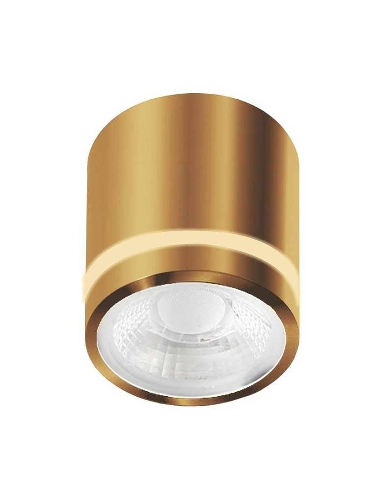 Azzardo Sufitowa Hermetyczna VICI IP44 12W CCT SWITCH GO Złoty Połysk 1xLED Przełącznik Zmiany Barwy Światła AZ6041