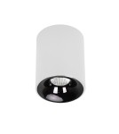Lampy sufitowe downlighty - tuby - Light Prestige Oprawa natynkowa Tom biała LED CCT LP-4848/1RM WH - product 1