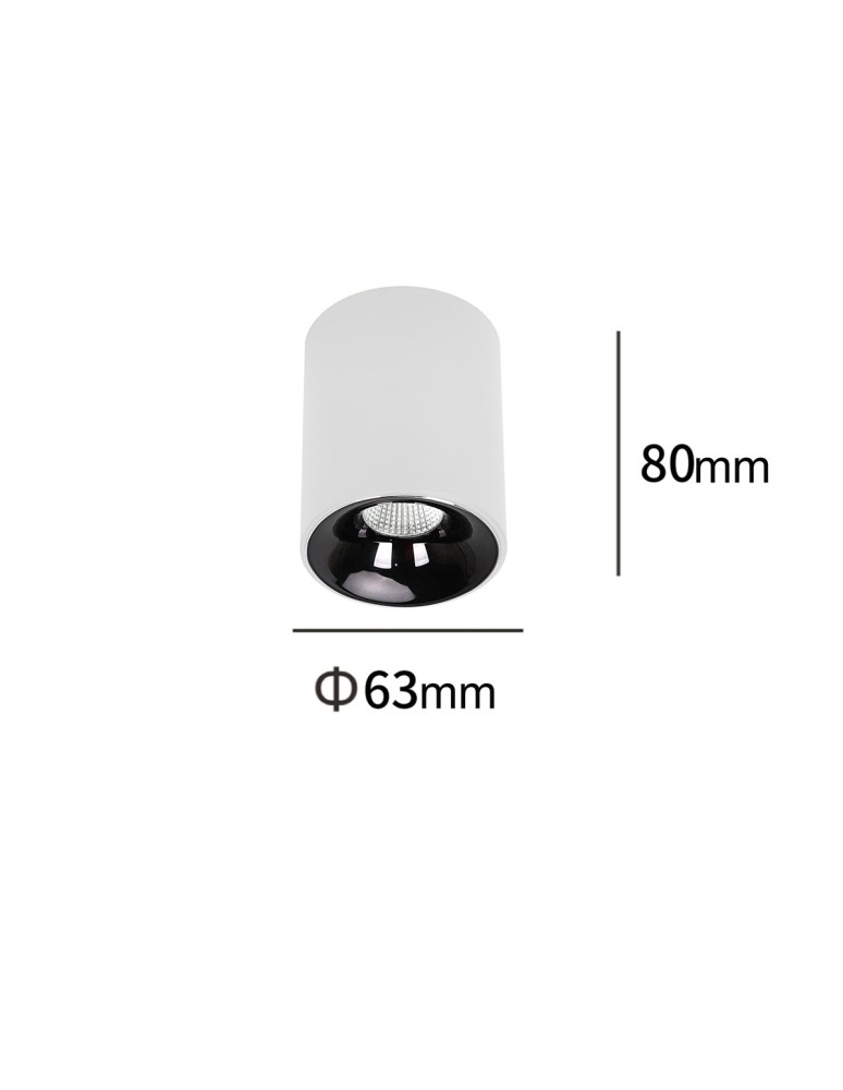 Lampy sufitowe downlighty - tuby - Light Prestige Oprawa natynkowa Tom biała LED CCT LP-4848/1RM WH - product kolory-swiatla.pl 2