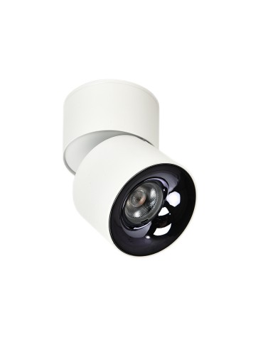 Light Prestige Ruchoma oprawa natynkowa Brema biała LED CCT LP-2626/1RM WH movable