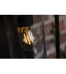 Lutec Zewnętrzna Ścienna FLAIR 6988804012 Lutec Zewnętrzna Ścienna FLAIR 6988804012