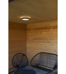 Lampy zewnętrzne sufitowe - Lutec Zewnętrzna Sufitowa GOLETA 5205801012 - product 8