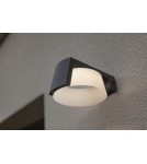 Lutec Zewnętrzna Ścienna MOON 5206001118 Lutec Zewnętrzna Ścienna MOON 5206001118
