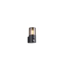 Lampy zewnętrzne z czujnikiem ruchu - Trio Zewnętrzna Ścienna HOOSIC - CZUJNIK RUCHU 222260132 - product 1