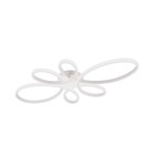 Lampy sufitowe LED - Trio Sufitowa FLY 645619131 - product 2
