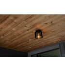 Lampy zewnętrzne sufitowe - Lutec Zewnętrzna Sufitowa SHYNE 6397501012 - product 3