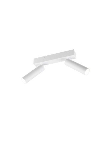 Trio Reflektorek Sufitowy/Ścienny AMBALA 849210231 - produkt 2
