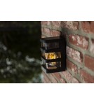 Kinkiety zewnętrzne - Lutec Zewnętrzna Ścienna DALTON 5214501330 - product 5