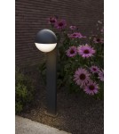 Lutec Zewnętrzna Ścienna LOOMA 7138001118 Lutec Zewnętrzna Ścienna LOOMA 7138001118