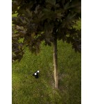 Lampy solarne - Lutec Zewnętrzna Solarna BINGO SOLAR  6938401330 - product 3