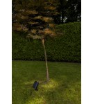 Lampy solarne - Lutec Zewnętrzna Solarna BINGO SOLAR  6938401330 - product 4