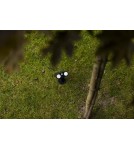 Lampy solarne - Lutec Zewnętrzna Solarna BINGO SOLAR  6938401330 - product 6