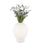 Argon AMARYLIS lampa stołowa 1 pł. 1x15W (max) opal mat 4095 Argon AMARYLIS lampa stołowa 1 pł. 1x15W (max) opal mat 4095