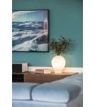 Argon AMARYLIS lampa stołowa 1 pł. 1x15W (max) opal mat 4095 Argon AMARYLIS lampa stołowa 1 pł. 1x15W (max) opal mat 4095