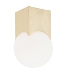 Argon AUSTIN plafon 1 pł. 1x7W (max) opal mat mosiądz szczotkowany 4712 Argon AUSTIN plafon 1 pł. 1x7W (max) opal mat mosiądz szczotkowany 4712