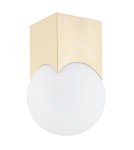 Argon AUSTIN plafon 1 pł. 1x7W (max) opal mat mosiądz szczotkowany 4712 Argon AUSTIN plafon 1 pł. 1x7W (max) opal mat mosiądz szczotkowany 4712