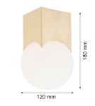 Argon AUSTIN plafon 1 pł. 1x7W (max) opal mat mosiądz szczotkowany 4712 Argon AUSTIN plafon 1 pł. 1x7W (max) opal mat mosiądz szczotkowany 4712