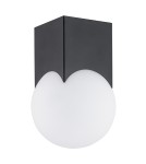 Argon AUSTIN plafon 1 pł. 1x7W (max) opal mat czarny mat 4713 Argon AUSTIN plafon 1 pł. 1x7W (max) opal mat czarny mat 4713