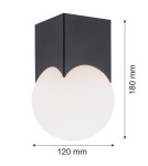 Argon AUSTIN plafon 1 pł. 1x7W (max) opal mat czarny mat 4713 Argon AUSTIN plafon 1 pł. 1x7W (max) opal mat czarny mat 4713